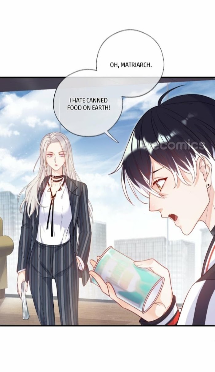 Read Pay Me Back, Mr. Cat chapter 1.1 image 14 on Lezhin