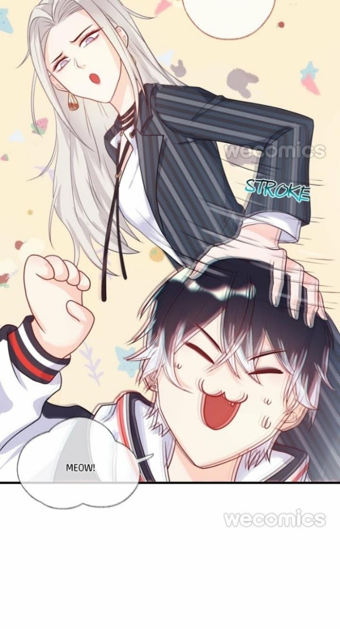 Read Pay Me Back, Mr. Cat chapter 1.1 image 16 on Lezhin