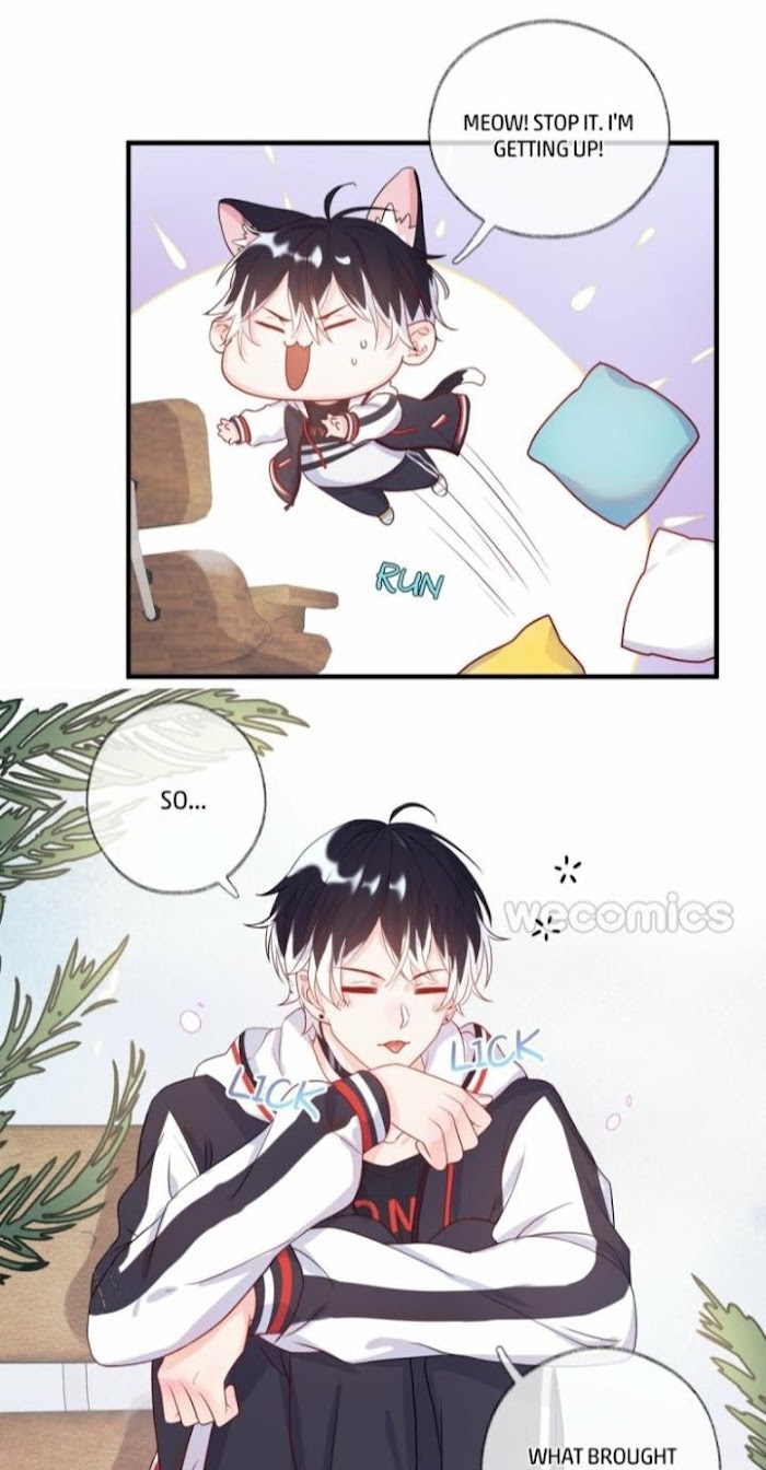 Read Pay Me Back, Mr. Cat chapter 1.1 image 17 on Lezhin
