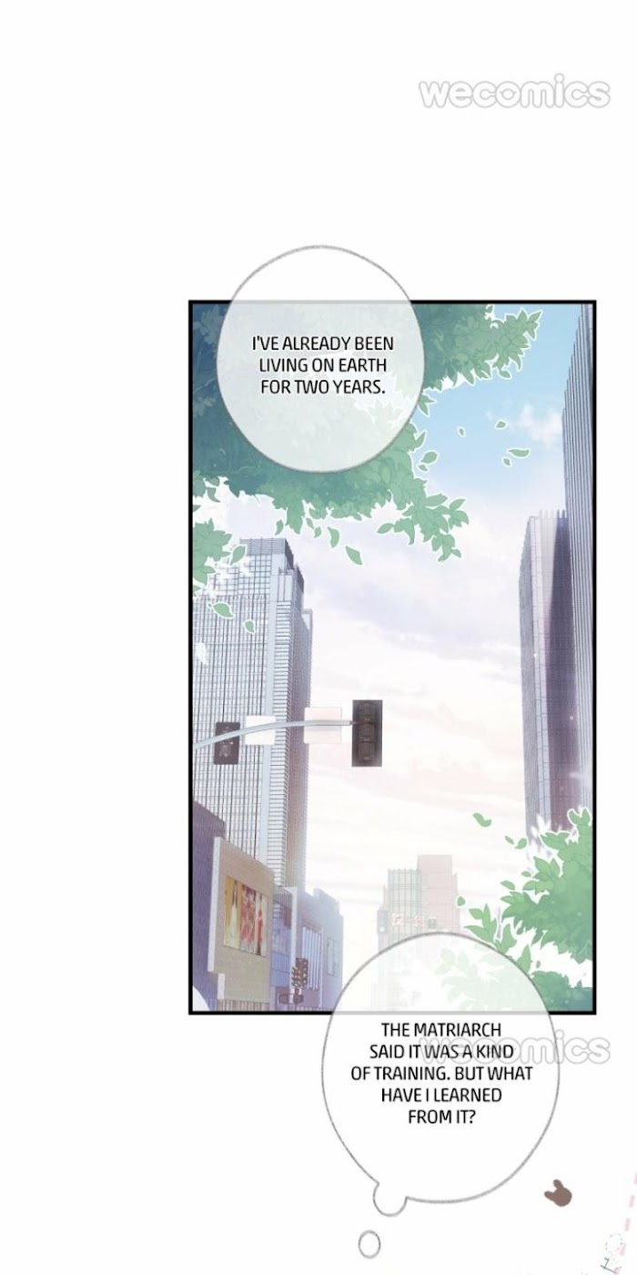 Read Pay Me Back, Mr. Cat chapter 1.1 image 26 on Lezhin