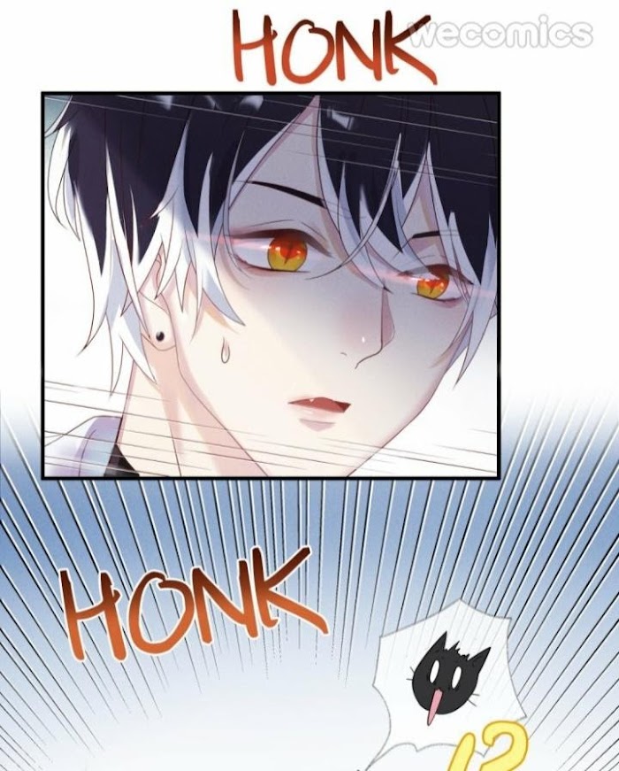 Read Pay Me Back, Mr. Cat chapter 1.1 image 31 on Lezhin