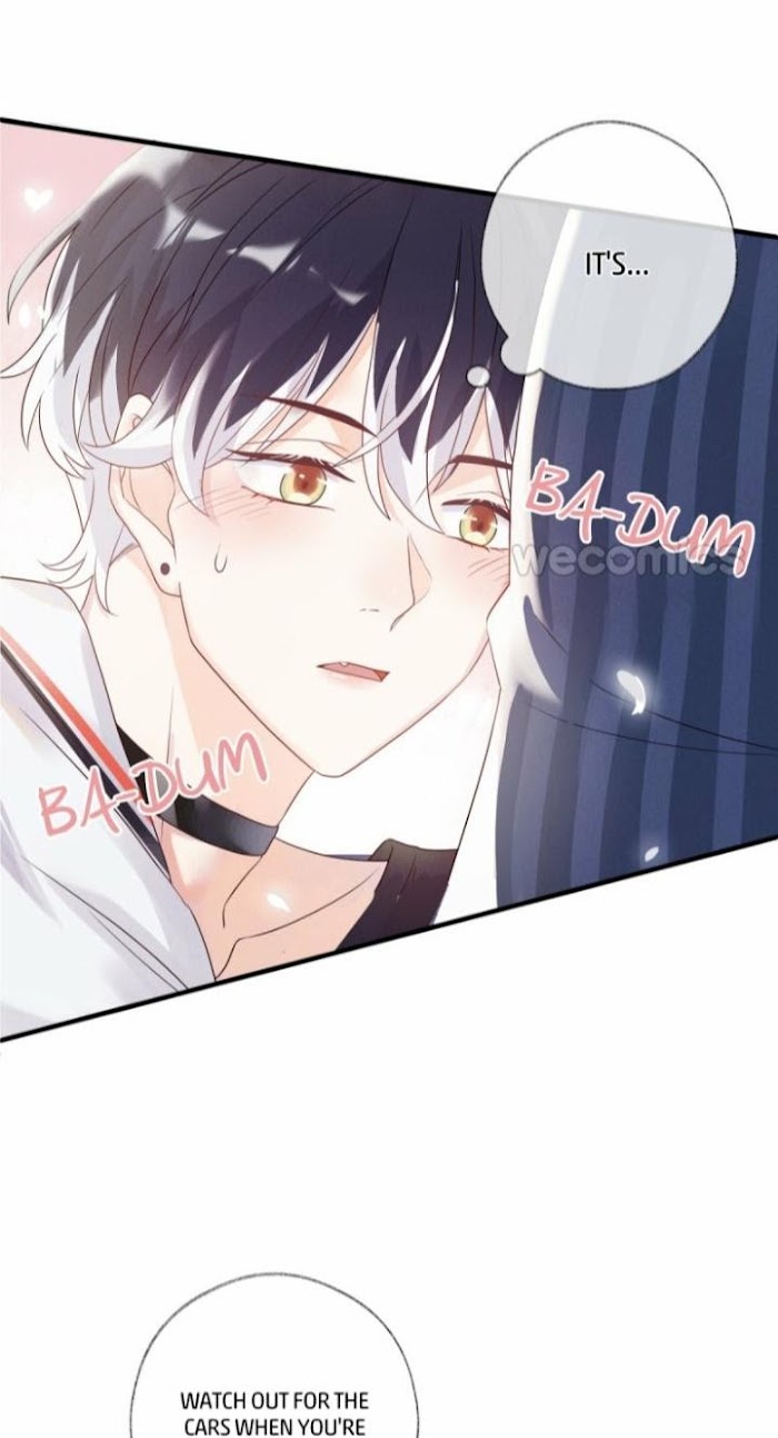 Read Pay Me Back, Mr. Cat chapter 1.1 image 35 on Lezhin