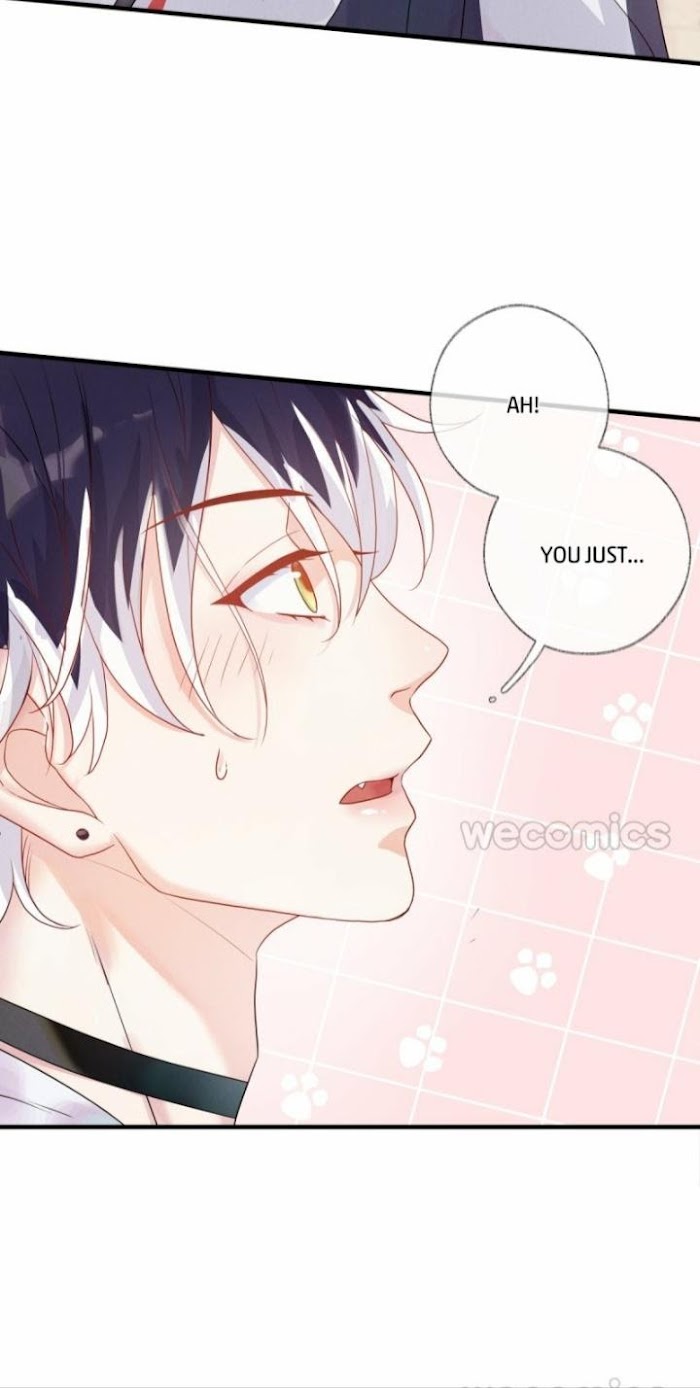 Read Pay Me Back, Mr. Cat chapter 1.1 image 38 on Lezhin