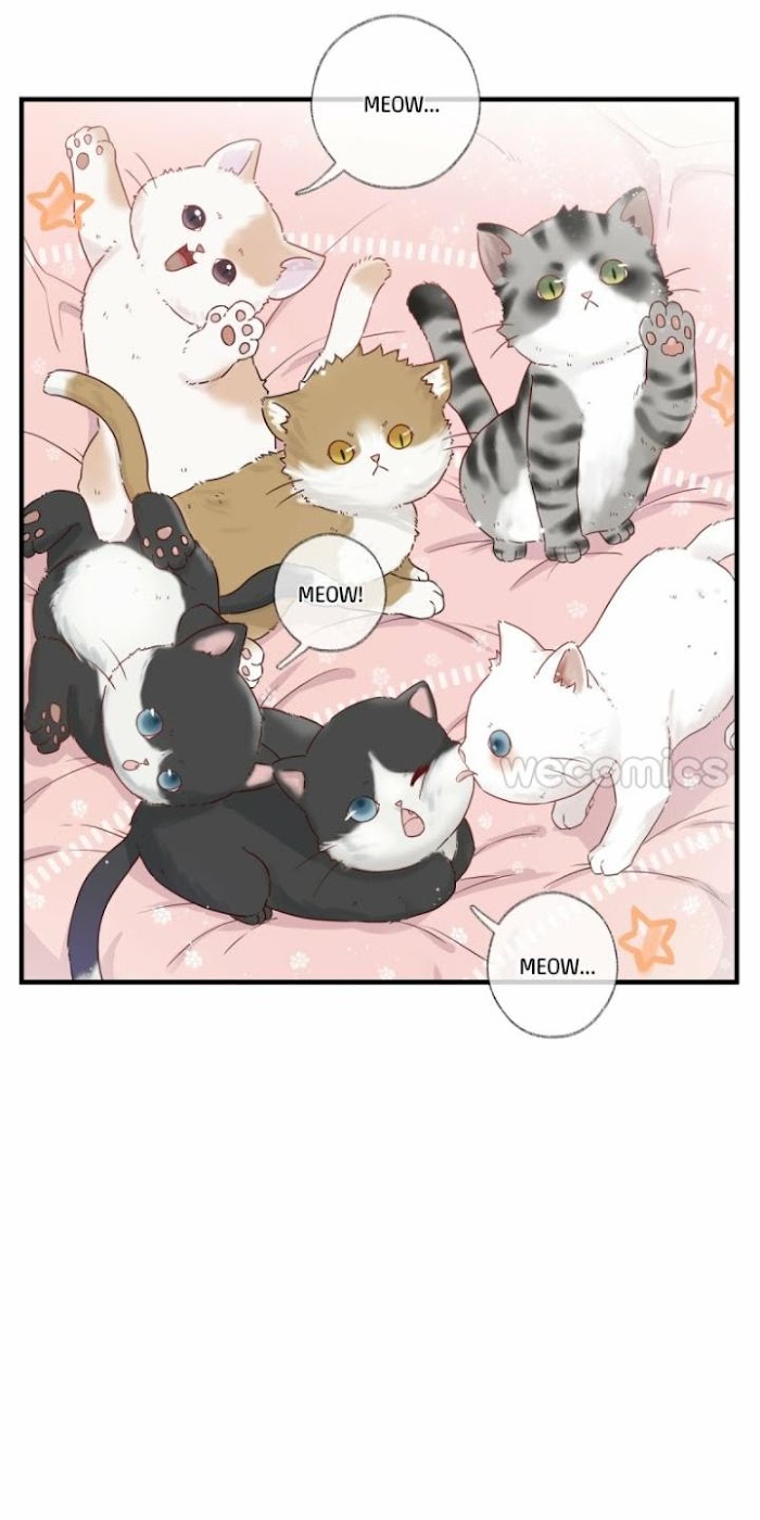 Read Pay Me Back, Mr. Cat chapter 1.1 image 4 on Lezhin