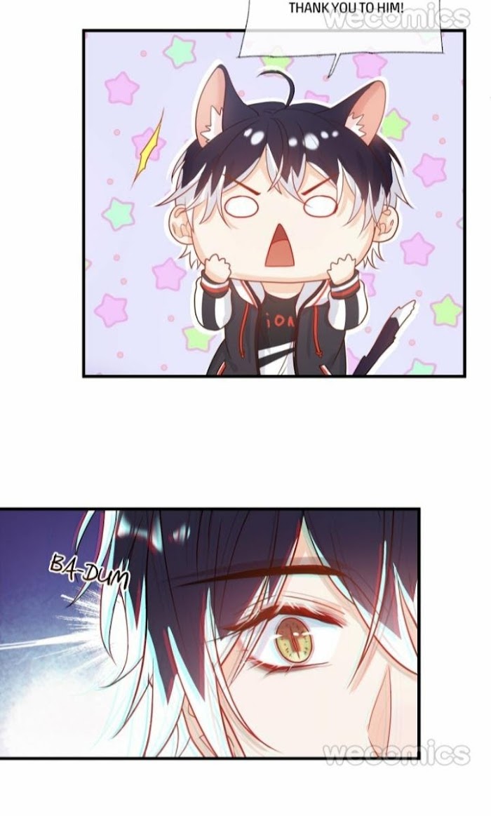 Read Pay Me Back, Mr. Cat chapter 1.1 image 43 on Lezhin