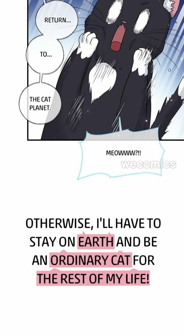 Read Pay Me Back, Mr. Cat chapter 1 image 15 on Lezhin