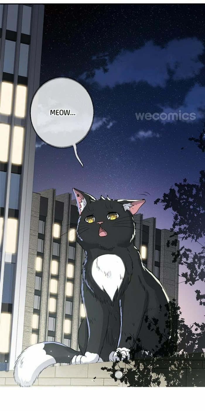 Read Pay Me Back, Mr. Cat chapter 1 image 16 on Lezhin