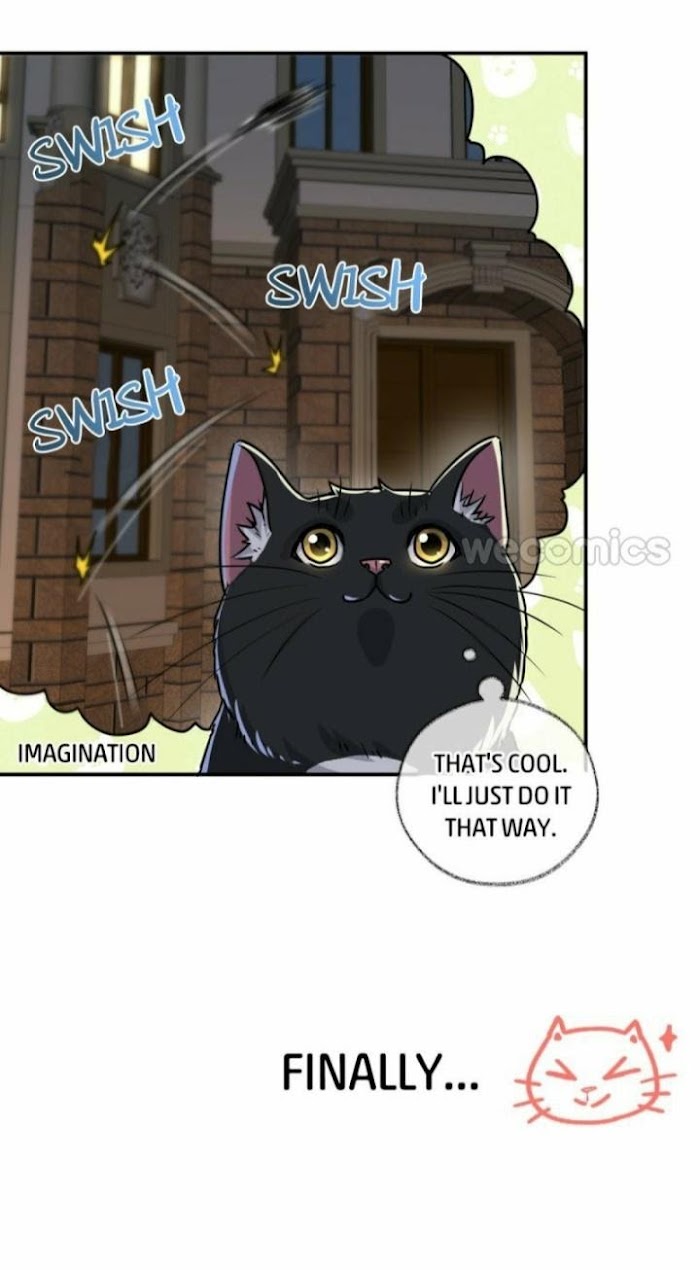 Read Pay Me Back, Mr. Cat chapter 1 image 18 on Lezhin
