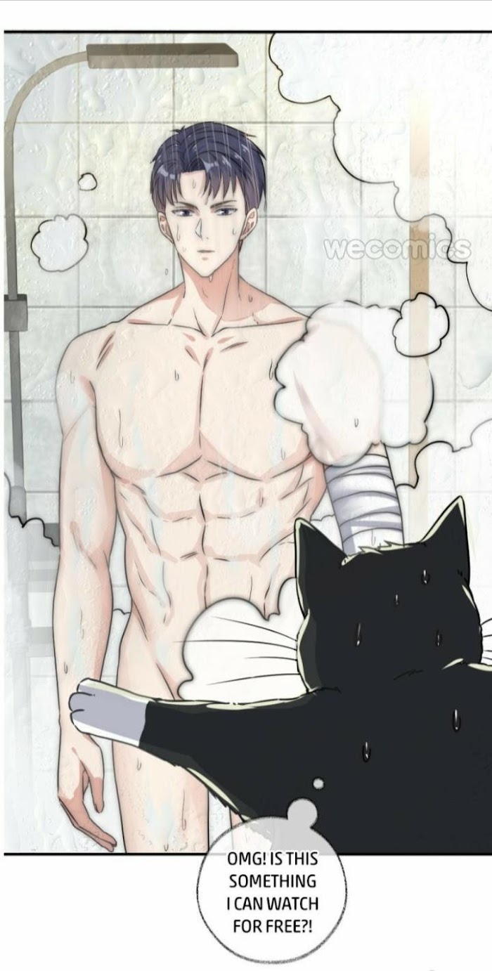 Read Pay Me Back, Mr. Cat chapter 1 image 19 on Lezhin