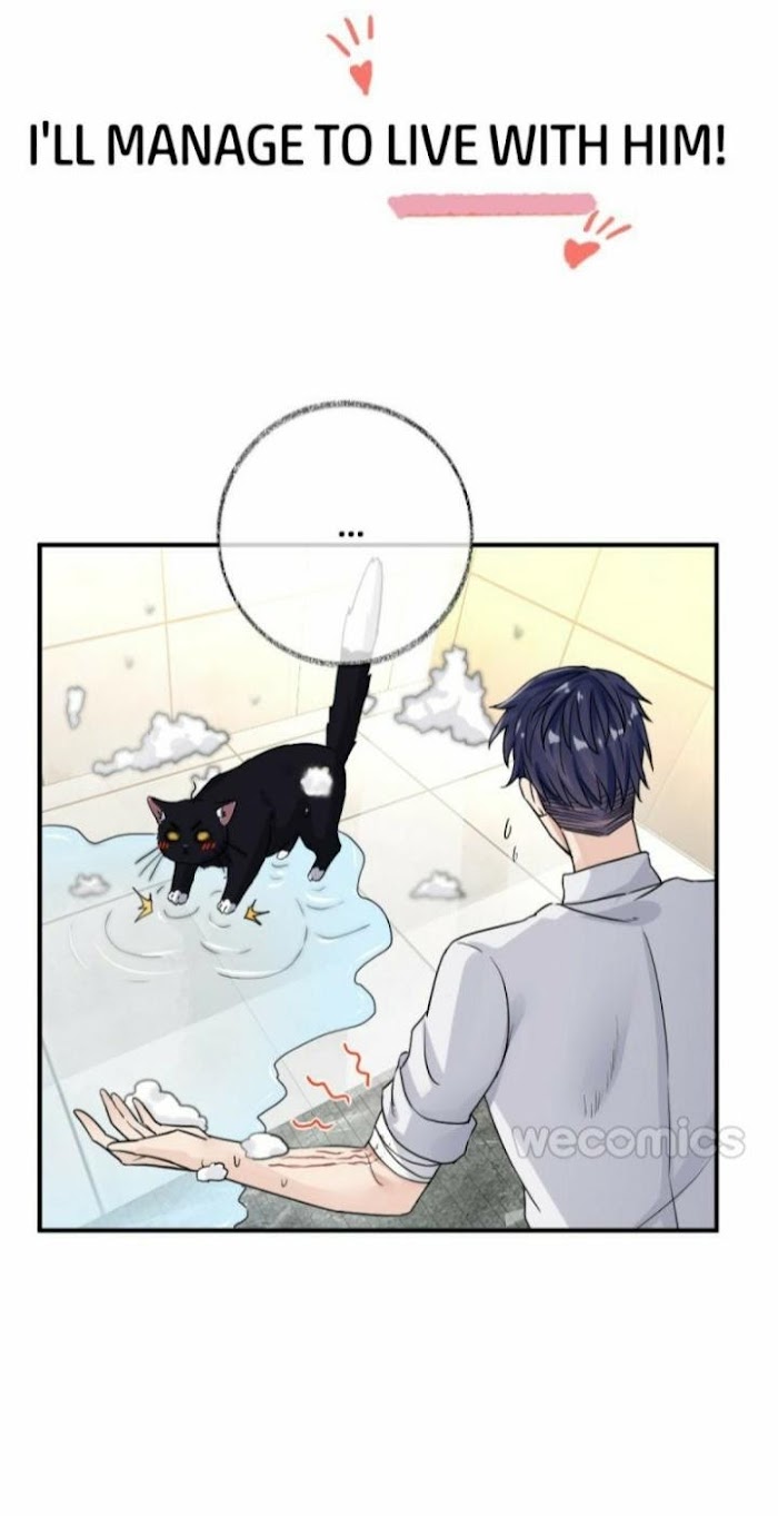 Read Pay Me Back, Mr. Cat chapter 1 image 20 on Lezhin