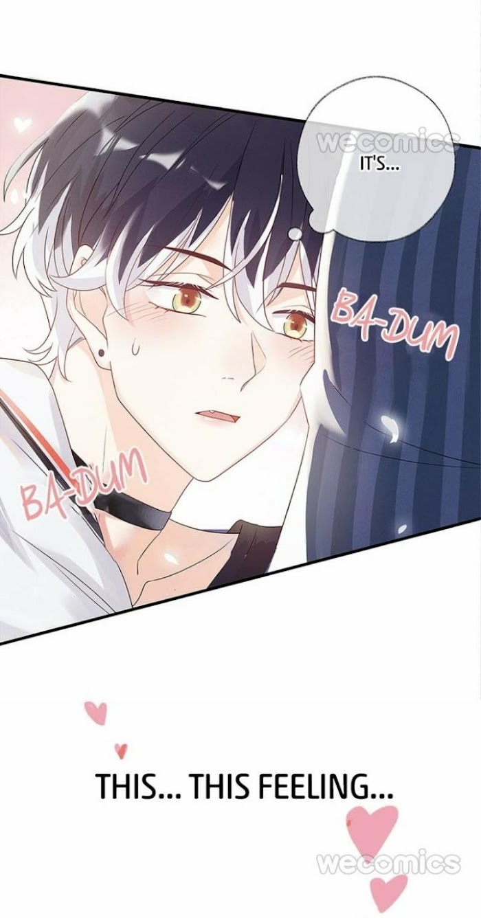 Read Pay Me Back, Mr. Cat chapter 1 image 8 on Lezhin