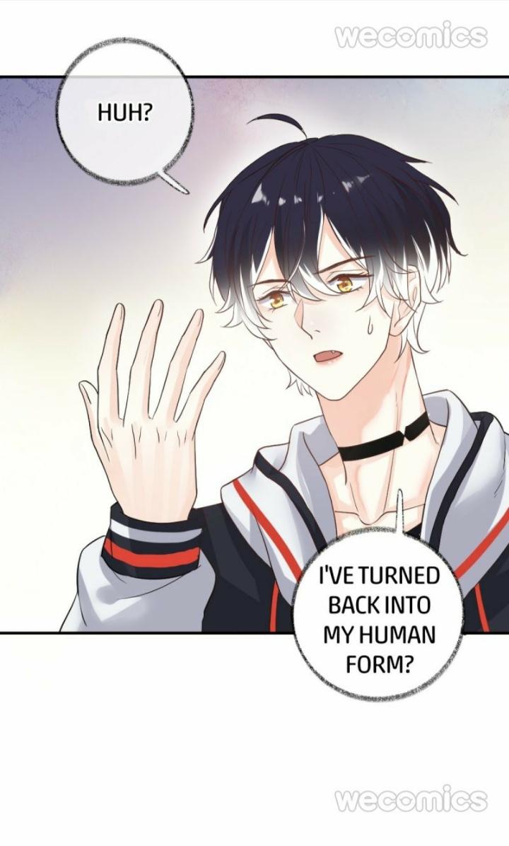 Read Pay Me Back, Mr. Cat chapter 10 image 13 on Lezhin
