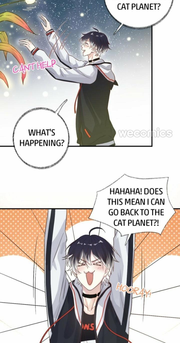 Read Pay Me Back, Mr. Cat chapter 10 image 16 on Lezhin