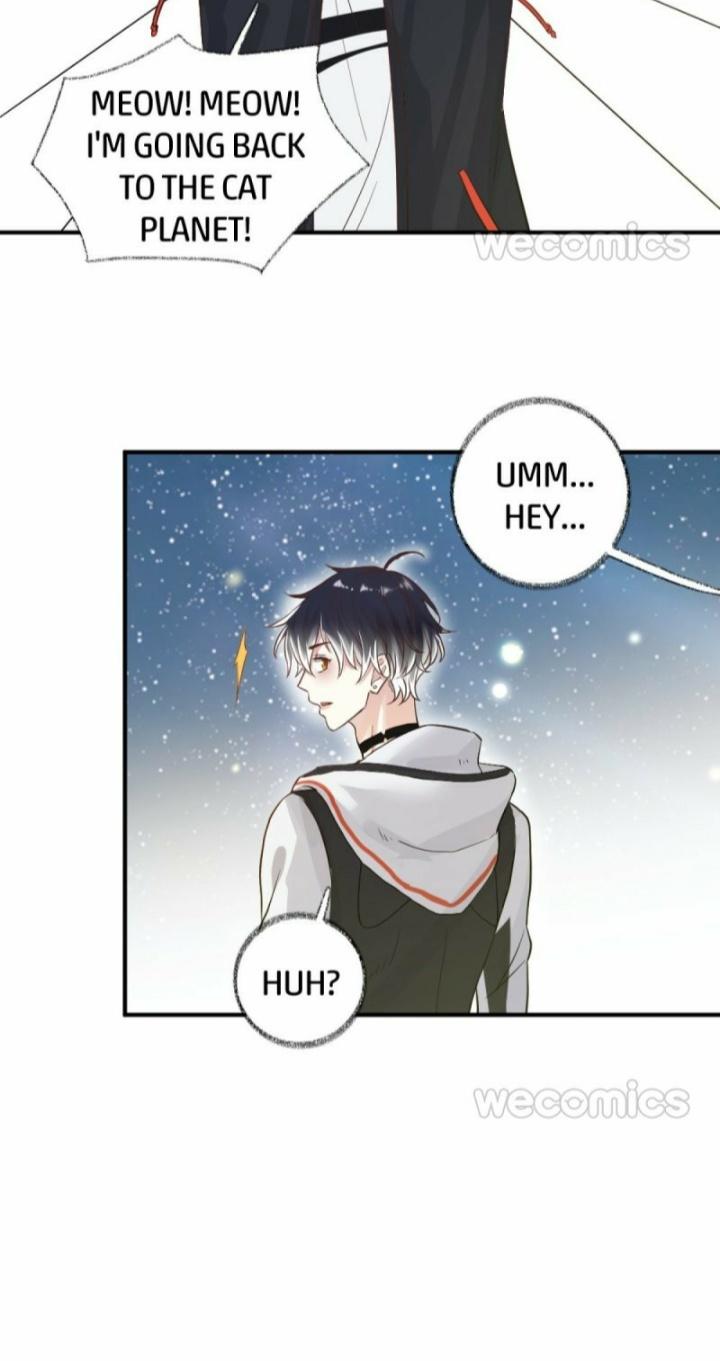 Read Pay Me Back, Mr. Cat chapter 10 image 17 on Lezhin