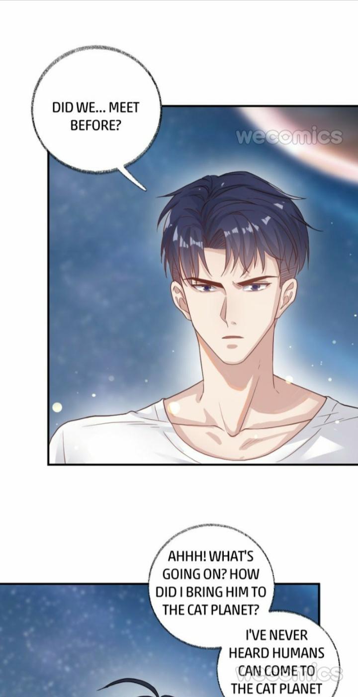 Read Pay Me Back, Mr. Cat chapter 10 image 20 on Lezhin