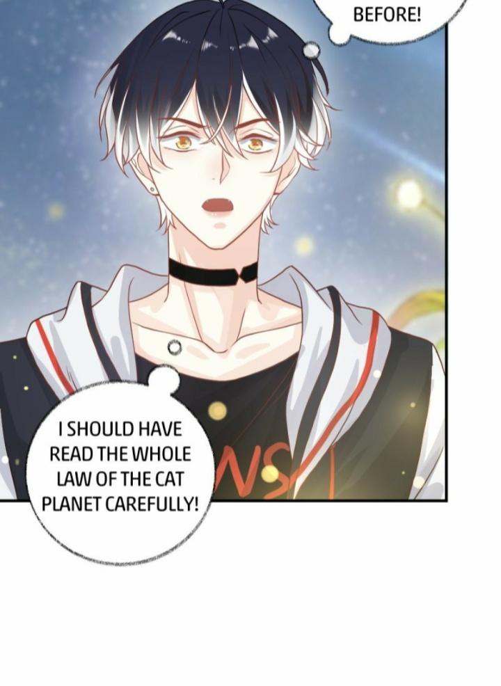 Read Pay Me Back, Mr. Cat chapter 10 image 21 on Lezhin