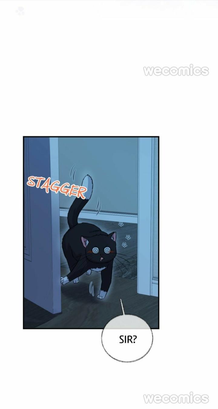 Read Pay Me Back, Mr. Cat chapter 10 image 3 on Lezhin