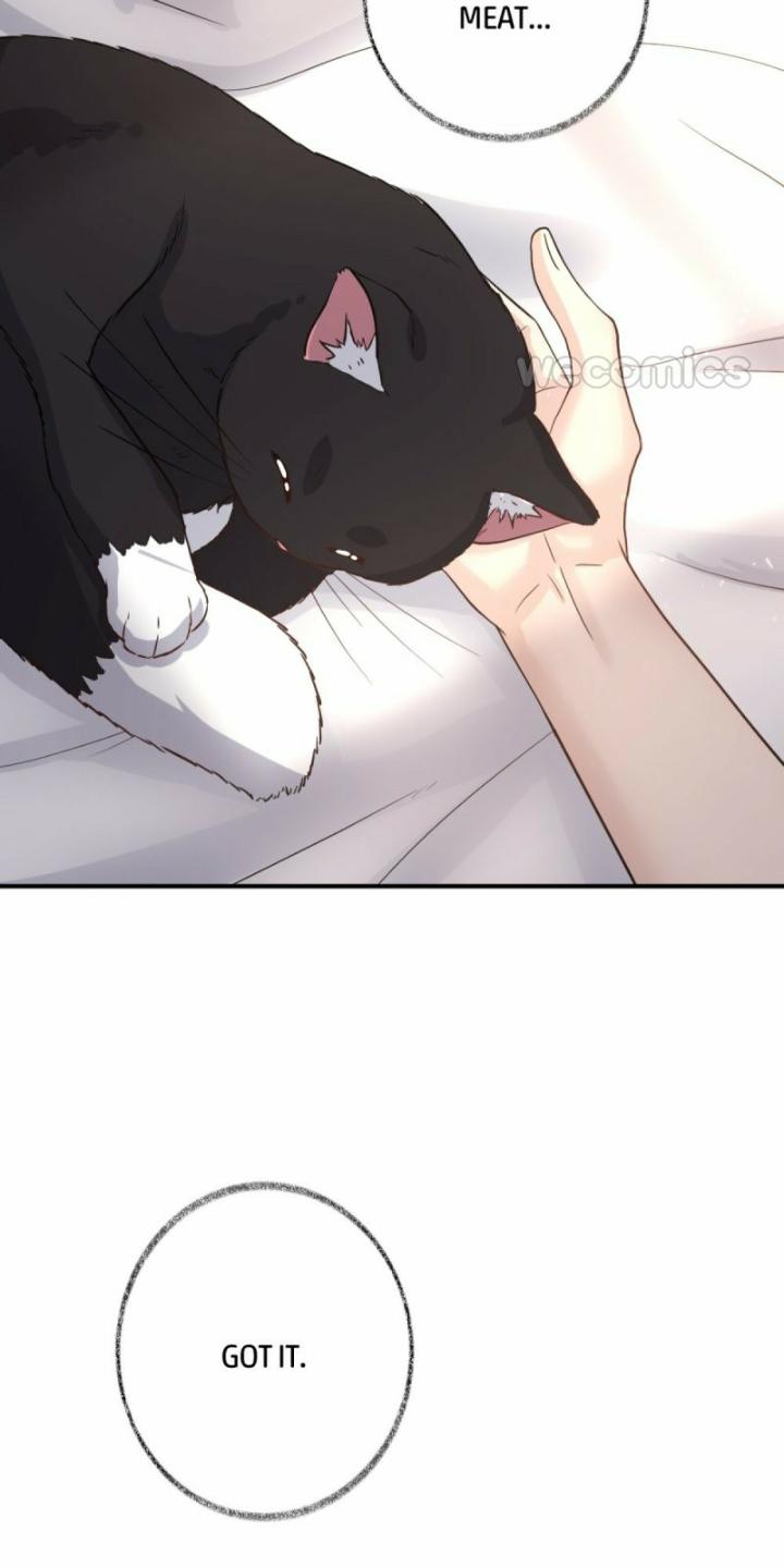 Read Pay Me Back, Mr. Cat chapter 10 image 37 on Lezhin