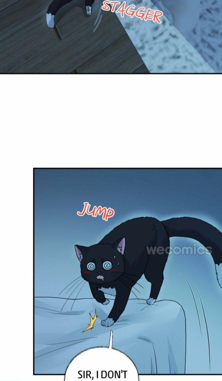 Read Pay Me Back, Mr. Cat chapter 10 image 5 on Lezhin