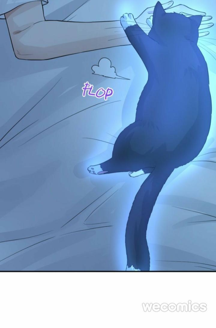 Read Pay Me Back, Mr. Cat chapter 10 image 8 on Lezhin