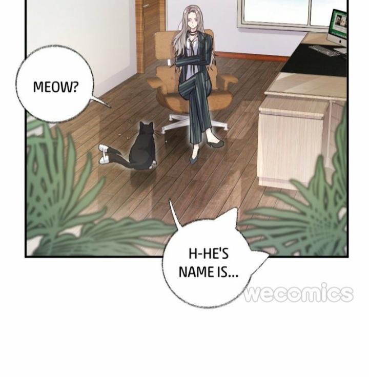 Read Pay Me Back, Mr. Cat chapter 11 image 10 on Lezhin