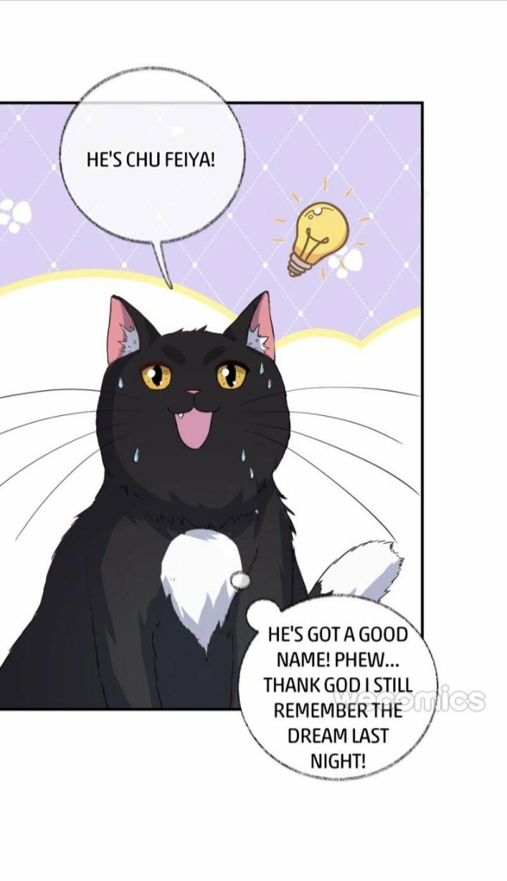 Read Pay Me Back, Mr. Cat chapter 11 image 11 on Lezhin