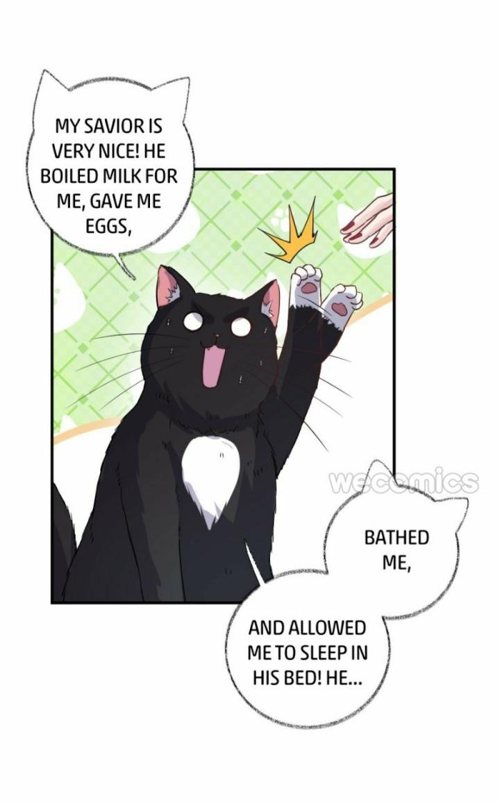 Read Pay Me Back, Mr. Cat chapter 11 image 14 on Lezhin