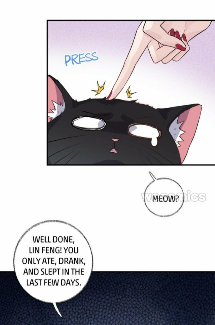 Read Pay Me Back, Mr. Cat chapter 11 image 15 on Lezhin