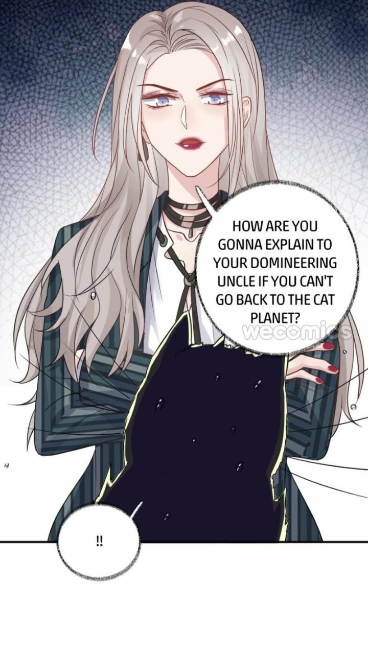 Read Pay Me Back, Mr. Cat chapter 11 image 16 on Lezhin