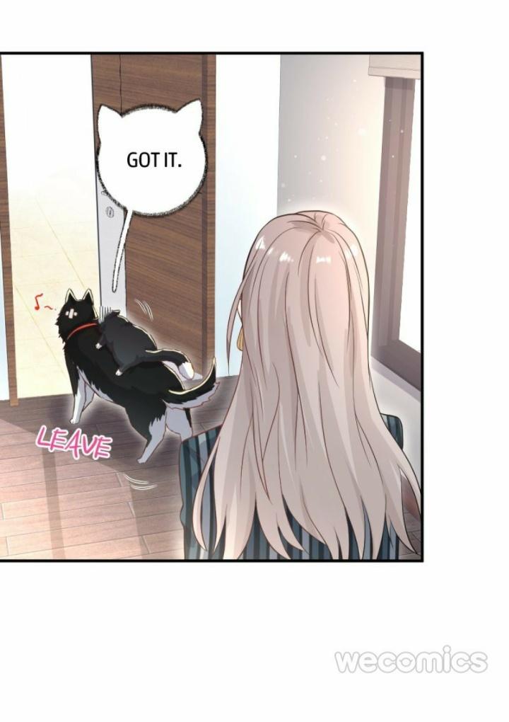 Read Pay Me Back, Mr. Cat chapter 11 image 18 on Lezhin
