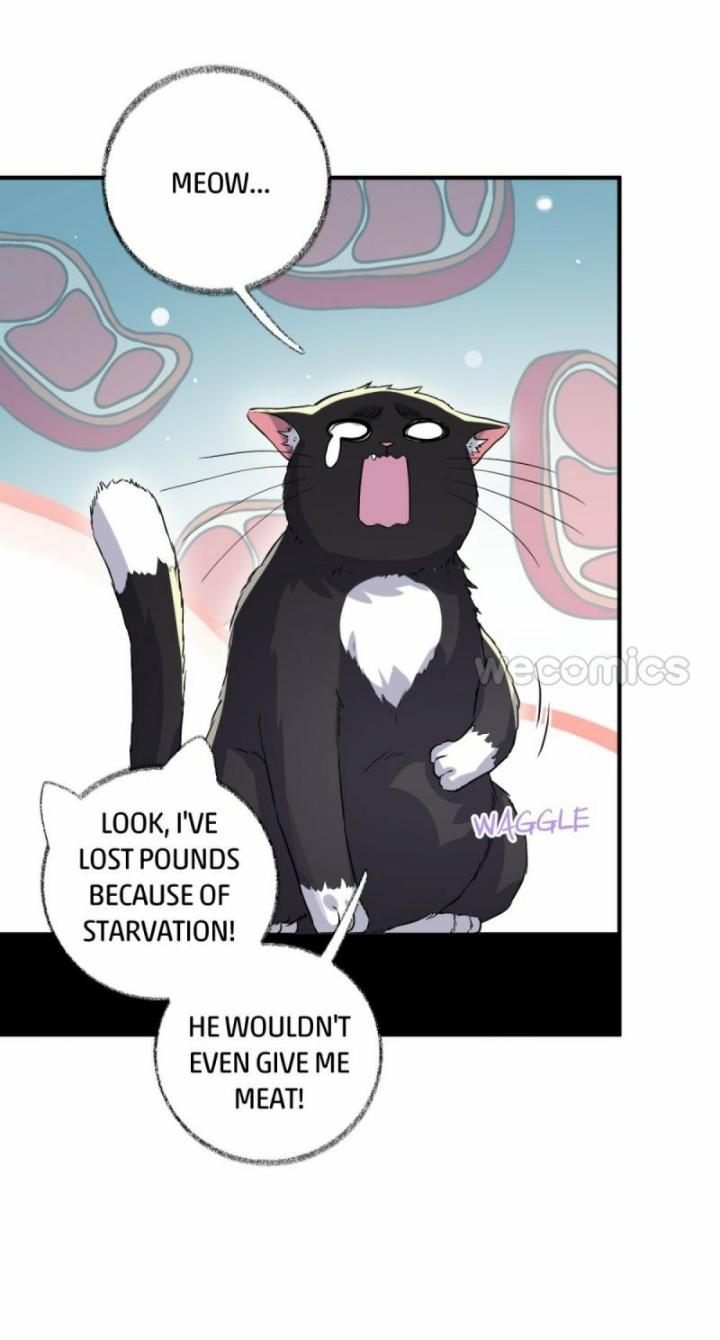 Read Pay Me Back, Mr. Cat chapter 11 image 5 on Lezhin