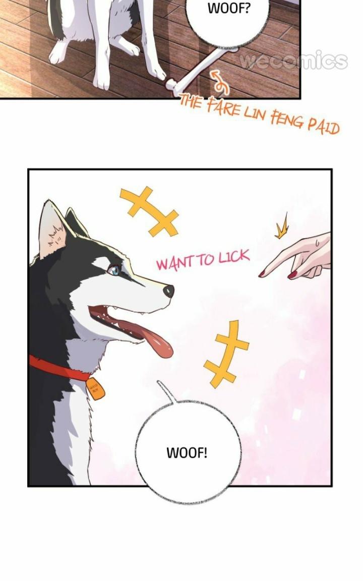 Read Pay Me Back, Mr. Cat chapter 11 image 7 on Lezhin