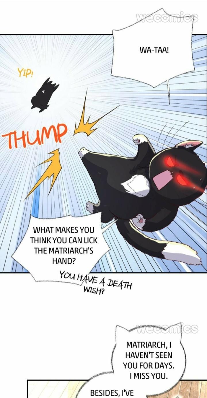 Read Pay Me Back, Mr. Cat chapter 11 image 8 on Lezhin