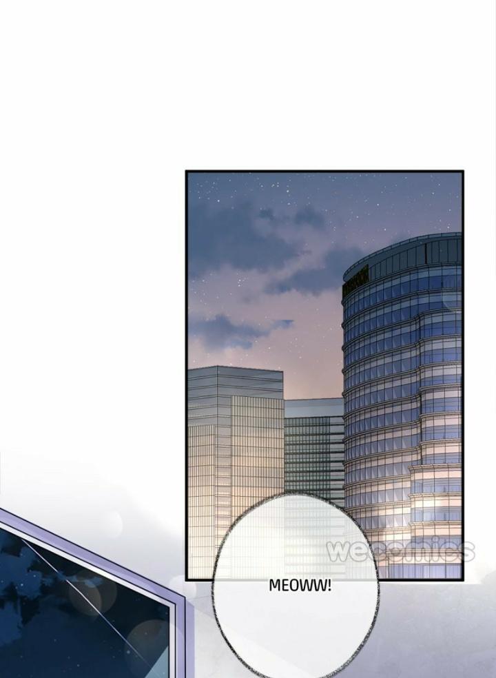 Read Pay Me Back, Mr. Cat chapter 12 image 10 on Lezhin
