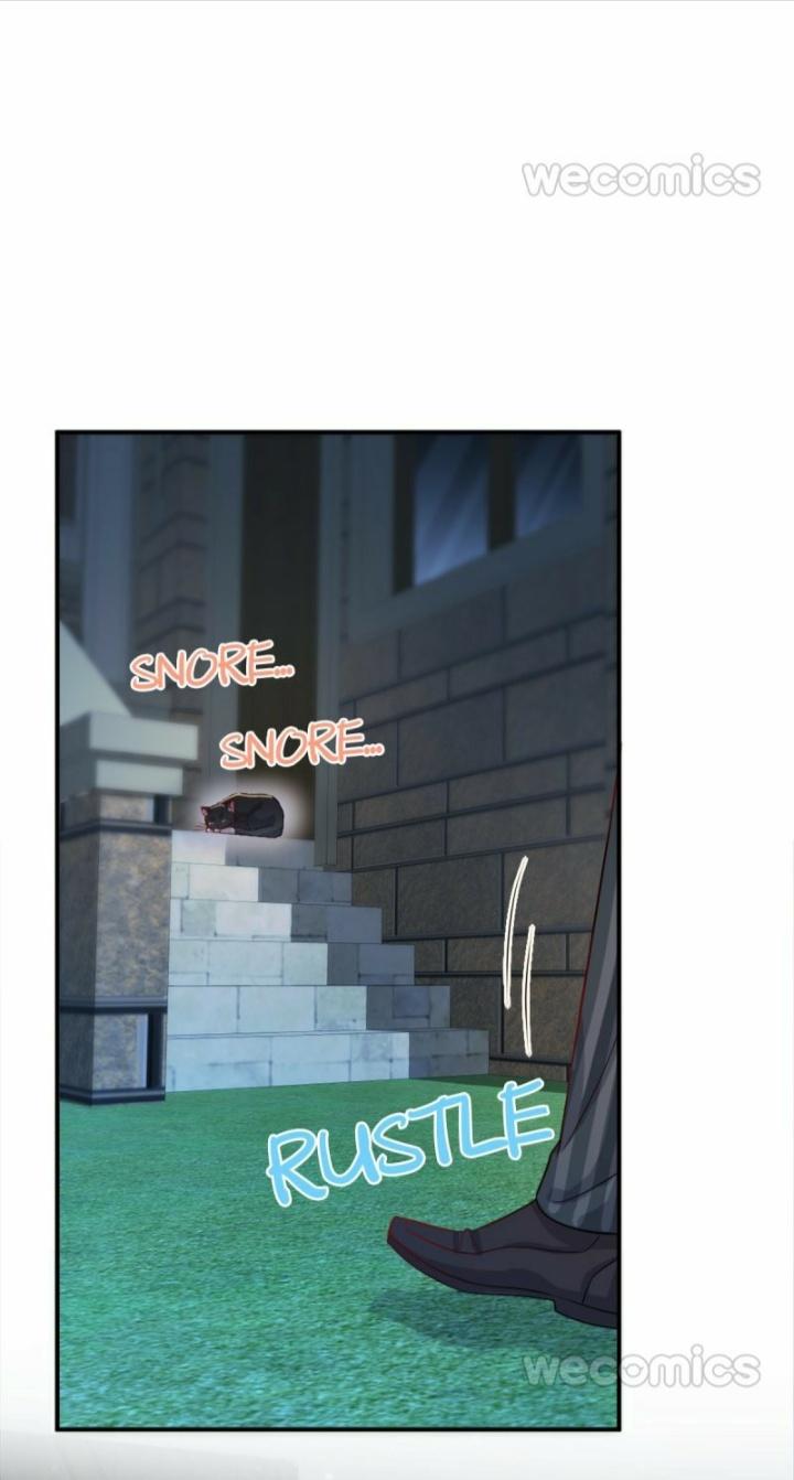Read Pay Me Back, Mr. Cat chapter 12 image 2 on Lezhin