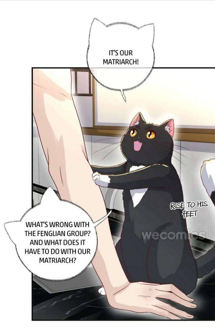 Read Pay Me Back, Mr. Cat chapter 12 image 24 on Lezhin