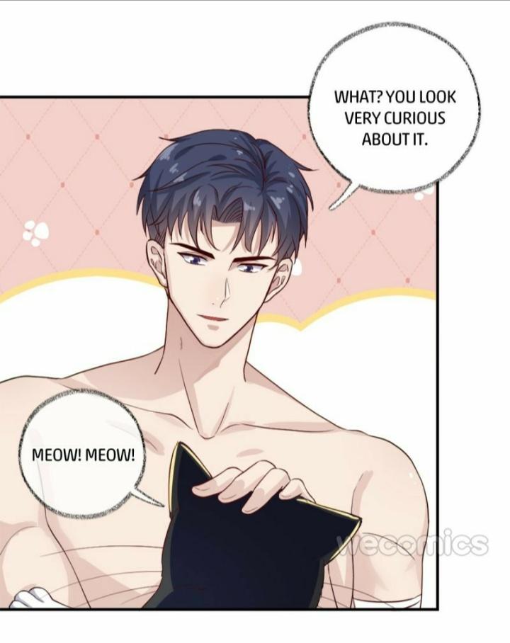 Read Pay Me Back, Mr. Cat chapter 12 image 25 on Lezhin