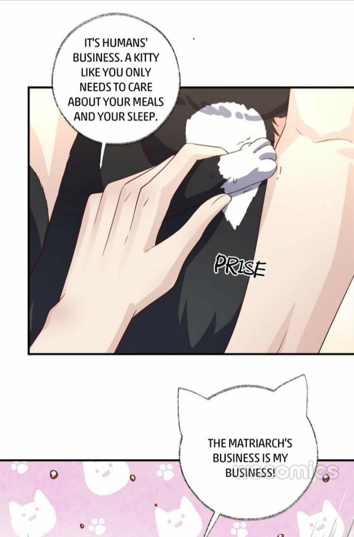 Read Pay Me Back, Mr. Cat chapter 12 image 26 on Lezhin