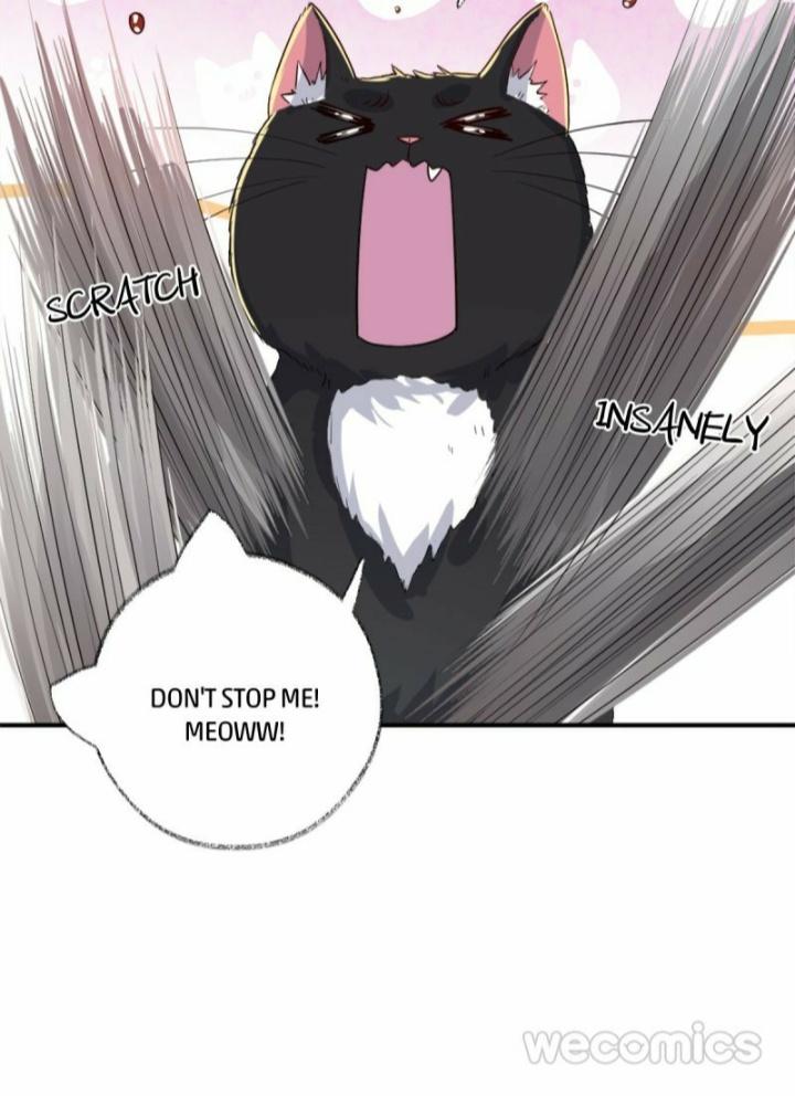 Read Pay Me Back, Mr. Cat chapter 12 image 27 on Lezhin