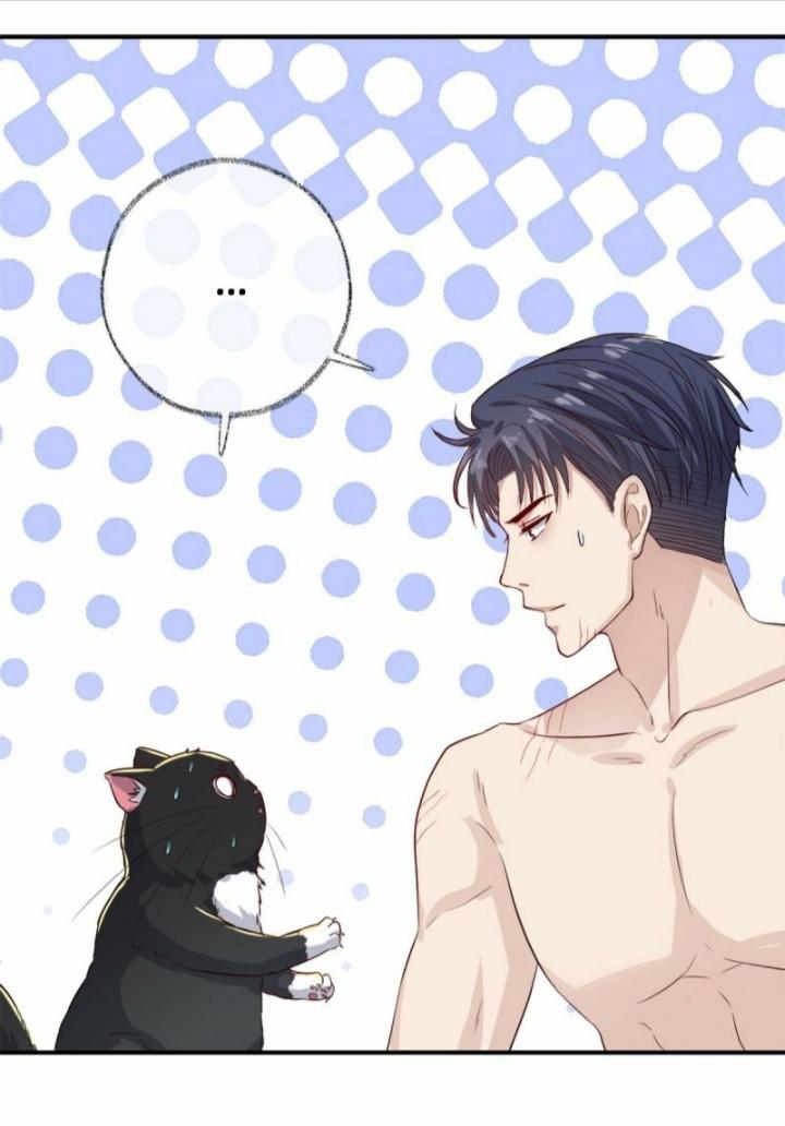 Read Pay Me Back, Mr. Cat chapter 12 image 28 on Lezhin