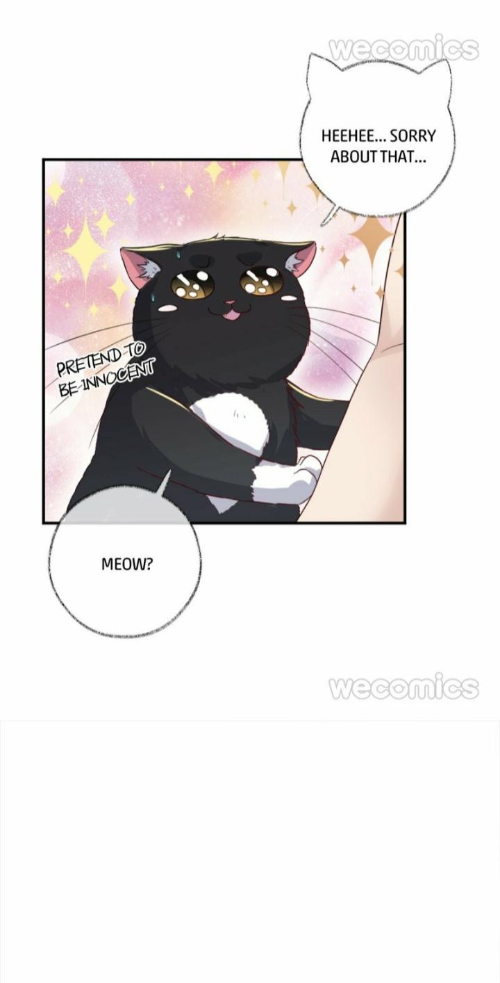 Read Pay Me Back, Mr. Cat chapter 12 image 29 on Lezhin