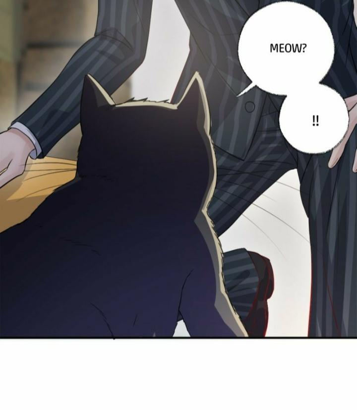 Read Pay Me Back, Mr. Cat chapter 12 image 4 on Lezhin