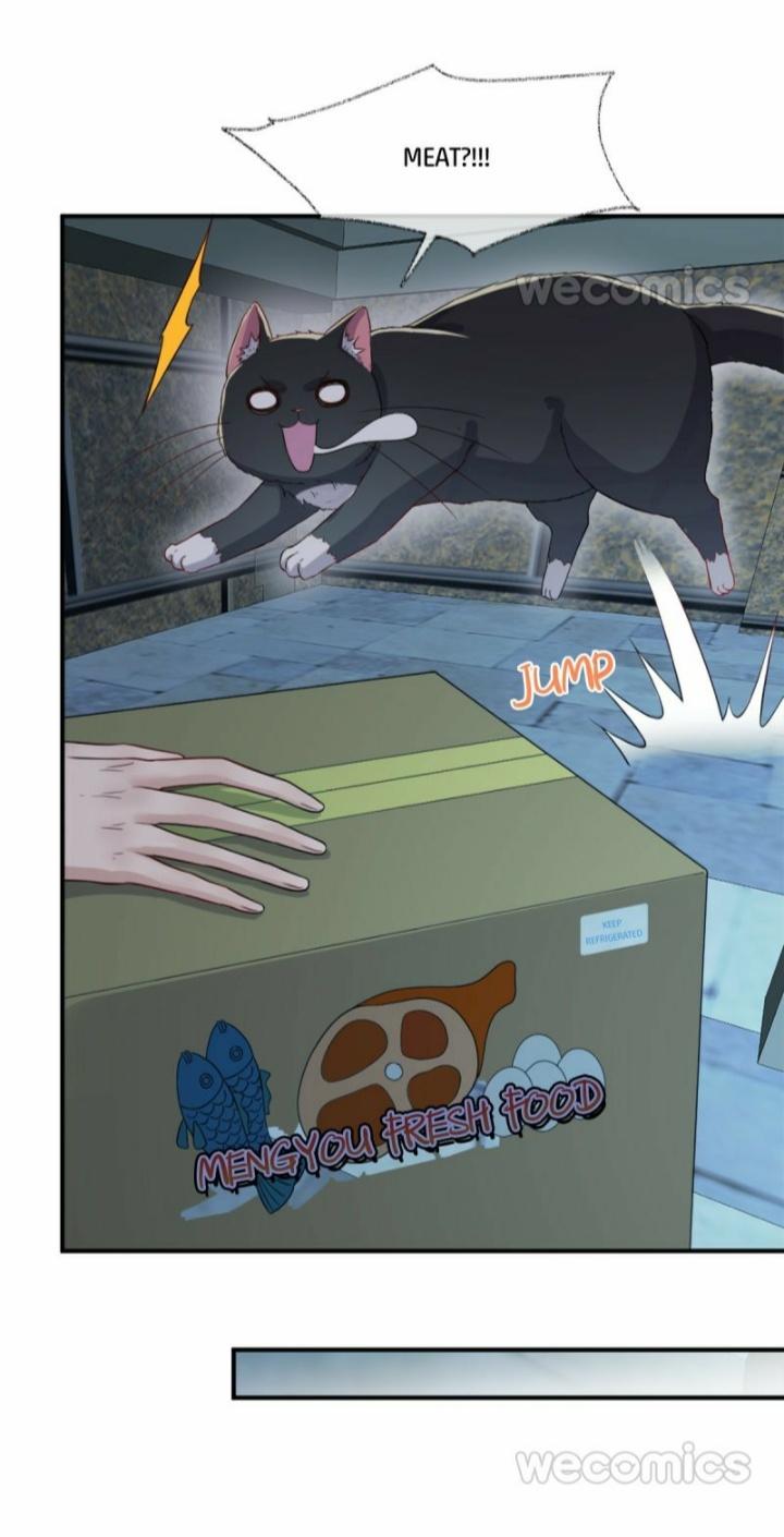 Read Pay Me Back, Mr. Cat chapter 12 image 5 on Lezhin