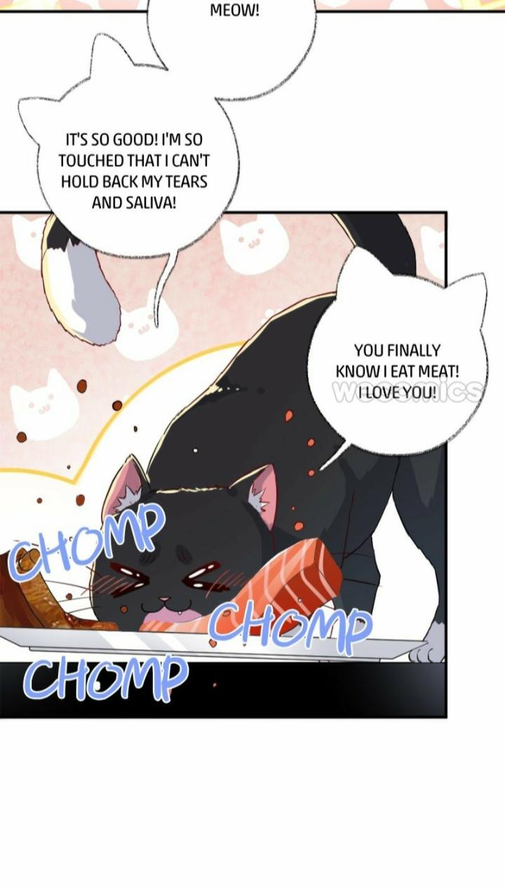 Read Pay Me Back, Mr. Cat chapter 12 image 7 on Lezhin