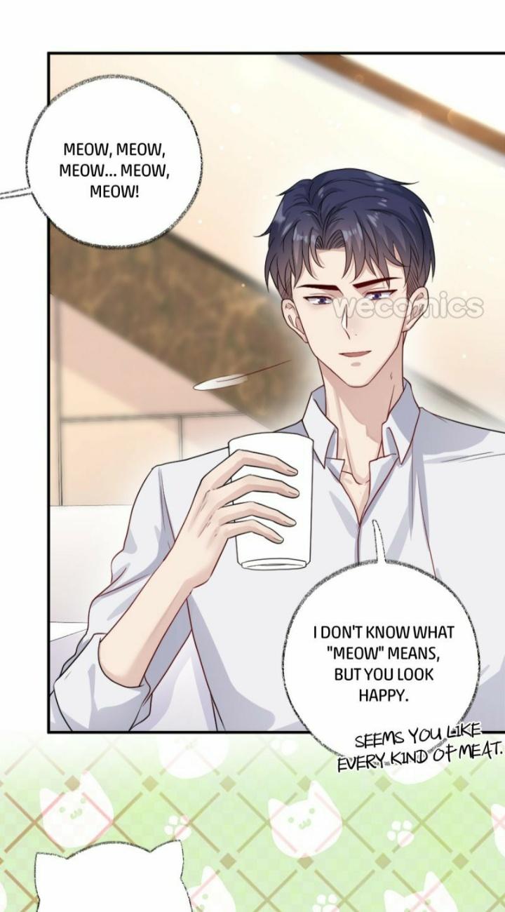Read Pay Me Back, Mr. Cat chapter 12 image 8 on Lezhin