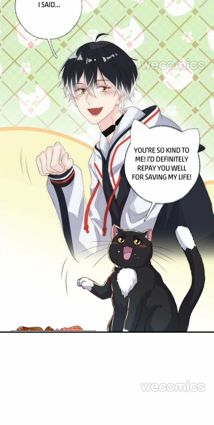 Read Pay Me Back, Mr. Cat chapter 12 image 9 on Lezhin