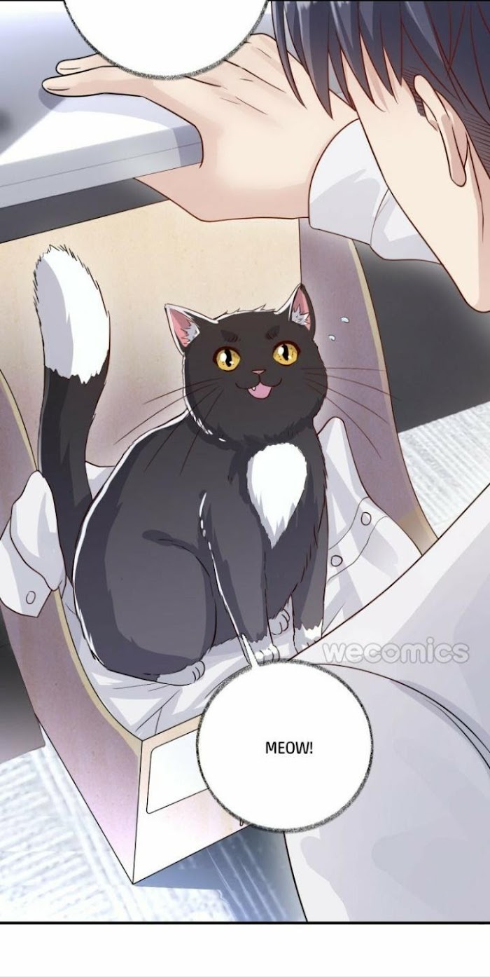 Read Pay Me Back, Mr. Cat chapter 13 image 13 on Lezhin