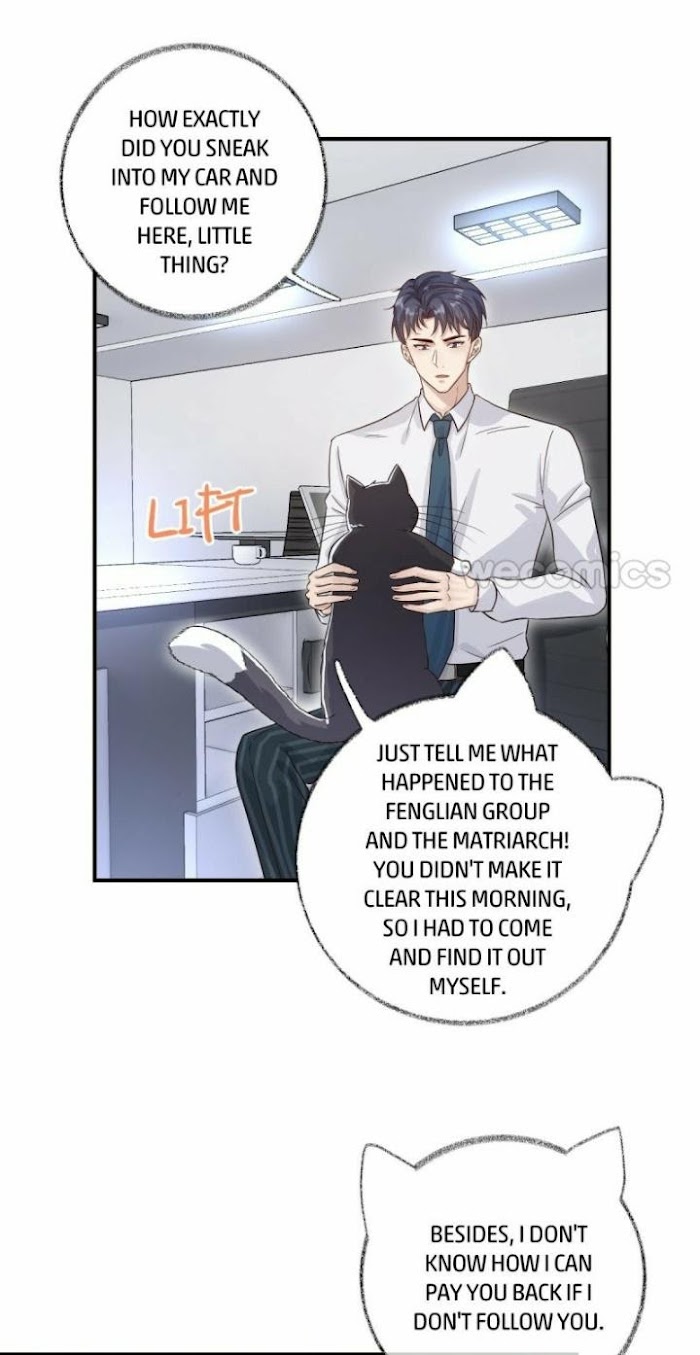 Read Pay Me Back, Mr. Cat chapter 13 image 14 on Lezhin