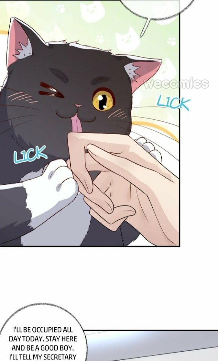 Read Pay Me Back, Mr. Cat chapter 13 image 15 on Lezhin