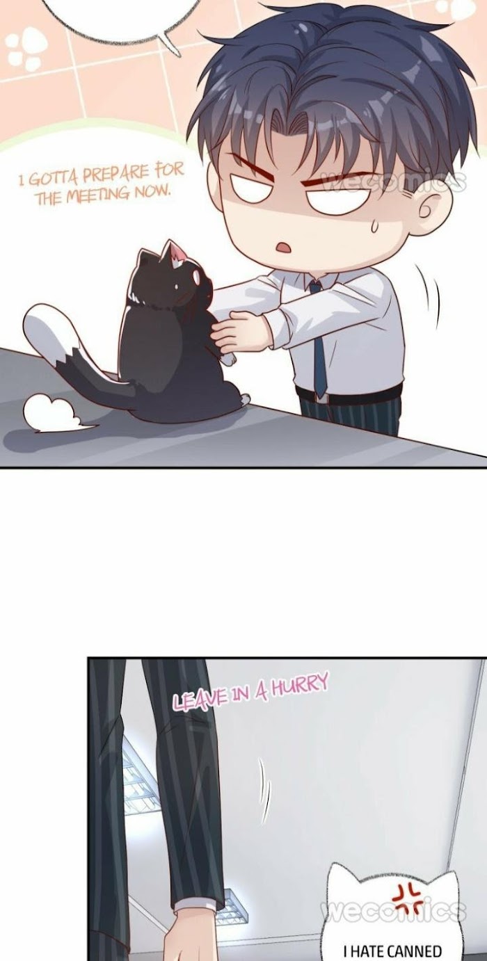 Read Pay Me Back, Mr. Cat chapter 13 image 17 on Lezhin
